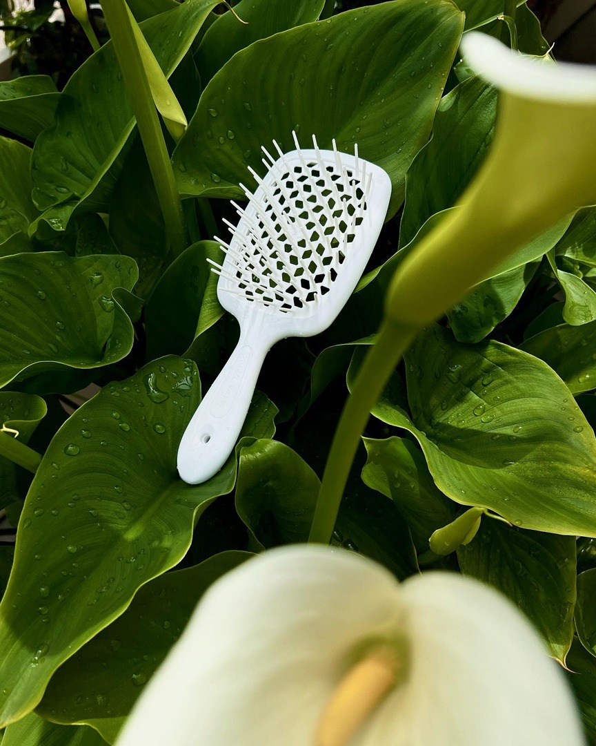 343657763_6125472210880240_8949511522250162810_n