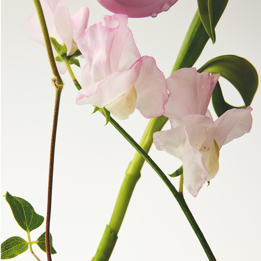 8809532222520_haruharu wonder Black Rice Probiotics Barrier NAD+ Serum Mist_6