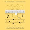 Clinique - UV Solutions Brightening + Tinted Sunscreen SPF 50 - Thumbnail Image 7