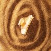 Balmain - Cellulose Acetate Pince à Cheveux Small Marble - Thumbnail Image 4