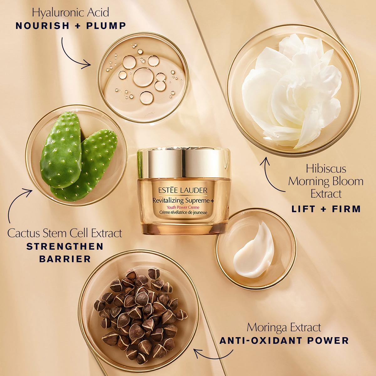 Estée Lauder - Revitalizing Supreme+ Gift Set - Image 8